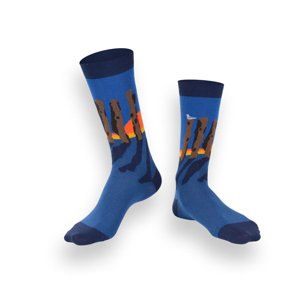 Chaussettes fantaisie LAMES BREIZHÉES Coton bio 1