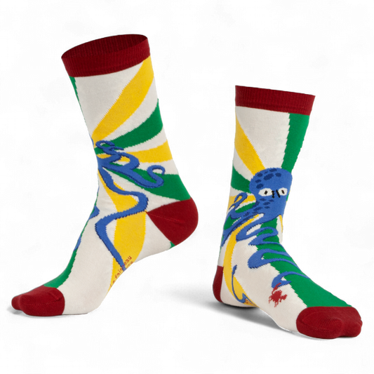 Chaussettes fantaisie LE FAISCEAU DE PIEUVRE Coton bio 1