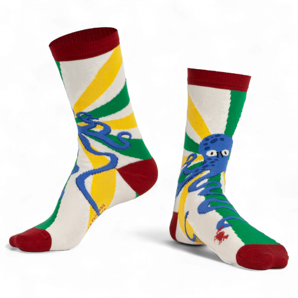 Chaussettes fantaisie LE FAISCEAU DE PIEUVRE Coton bio 1