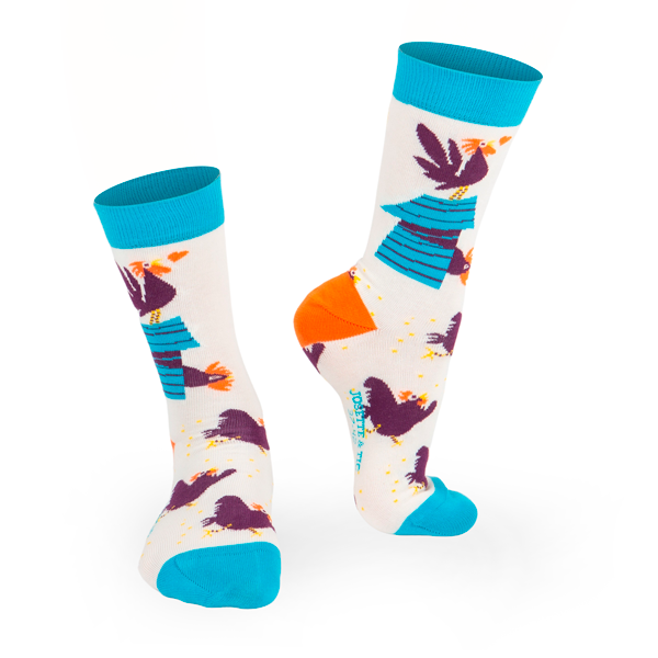 Chaussettes fantaisie LES 2 COQS Coton bio 1