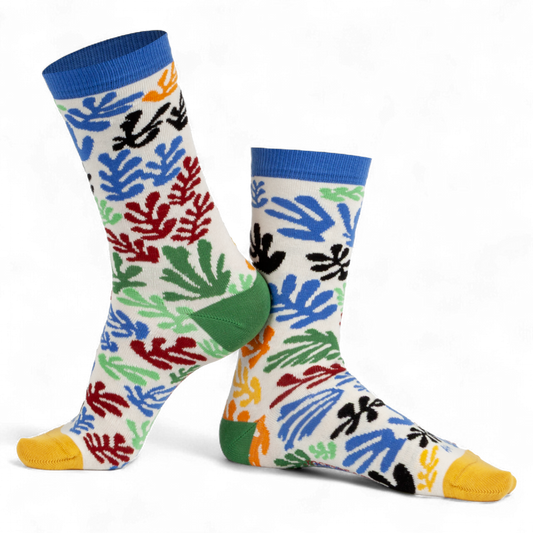 Chaussettes fantaisie MA MATISSE Coton bio 1