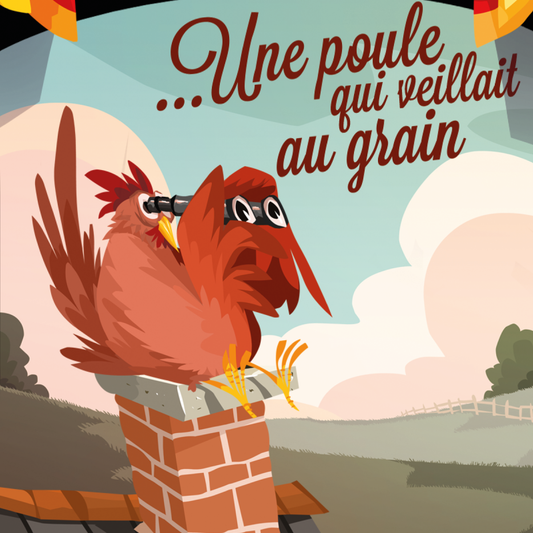 Chaussettes fantaisie MÈRE POULE Coton bio 2