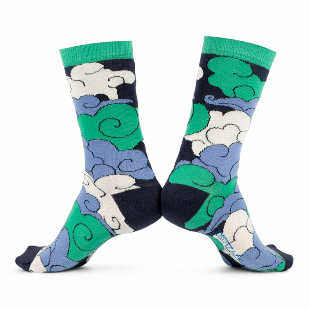 Chaussettes fantaisie NIMBUS Coton bio 1