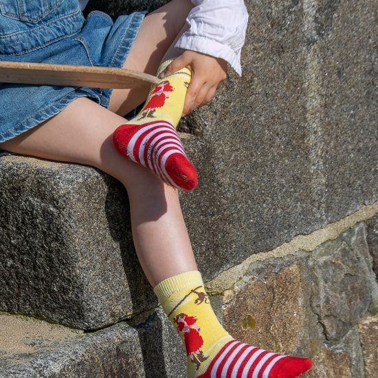 Chaussettes fantaisie PETITS SINGES DES CARAÏBES BAMBINS Coton bio 2