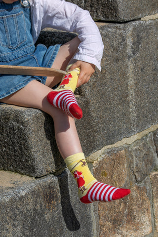 Chaussettes fantaisie PETITS SINGES DES CARAÏBES BAMBINS Coton bio 2