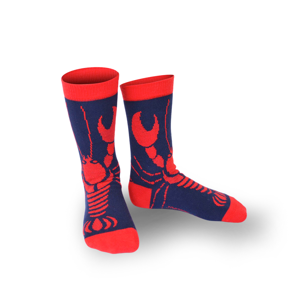 Chaussettes fantaisie PINCEMI PINCEMOI BAMBINS Coton bio 1