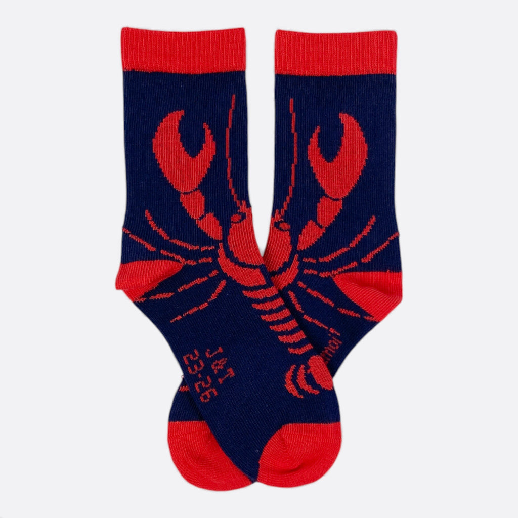 Chaussettes fantaisie PINCEMI PINCEMOI BAMBINS Coton bio 1