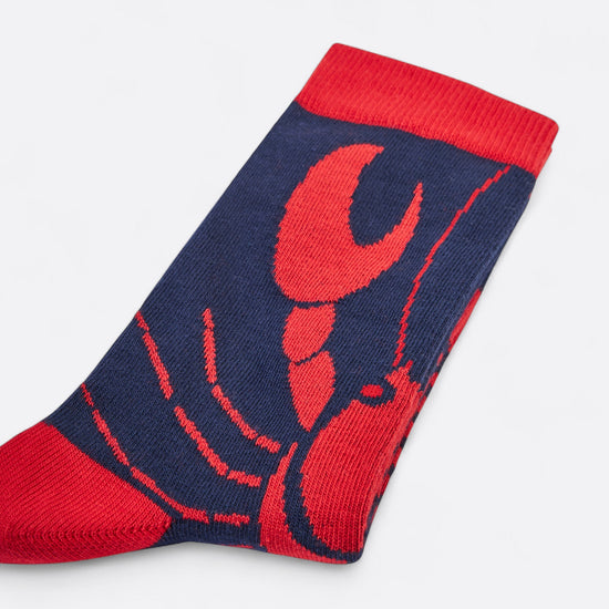 Chaussettes fantaisie PINCEMI PINCEMOI Coton bio 5