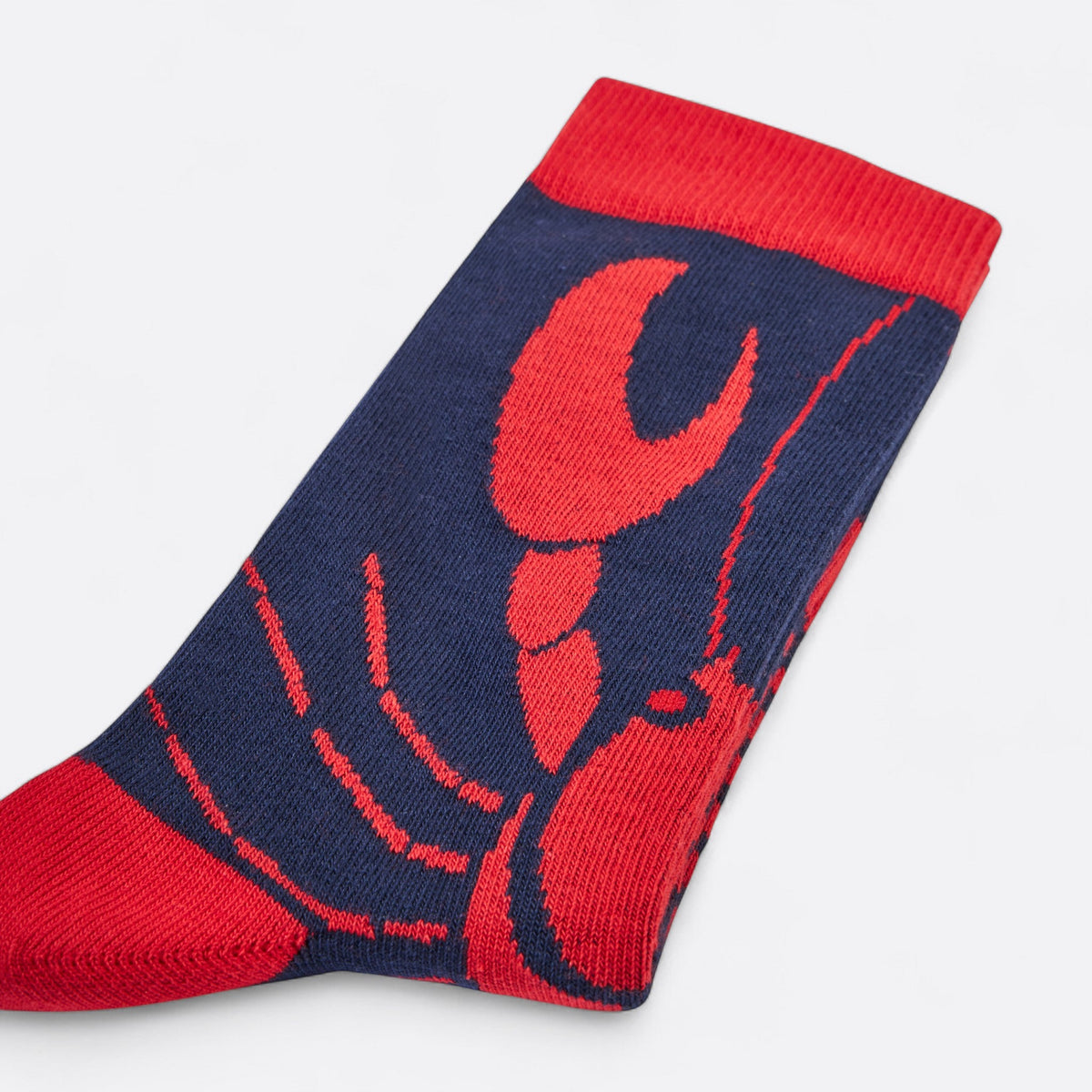 Chaussettes fantaisie PINCEMI PINCEMOI Coton bio 5