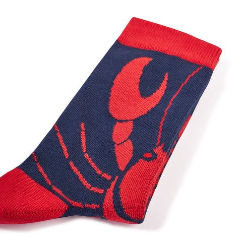 Chaussettes fantaisie PINCEMI PINCEMOI Coton bio 3