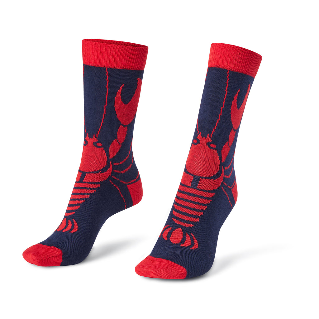 Chaussettes fantaisie PINCEMI PINCEMOI Coton bio 1