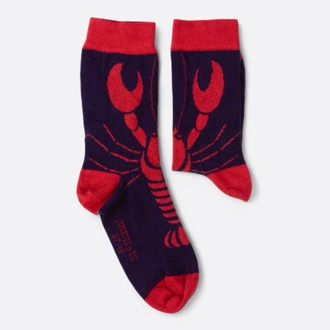 Chaussettes fantaisie PINCEMI PINCEMOI Coton bio 2