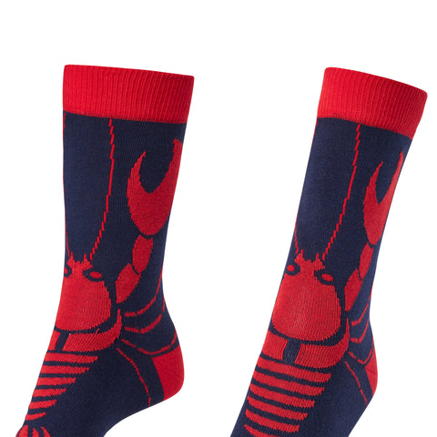 Chaussettes fantaisie PINCEMI PINCEMOI Coton bio 2