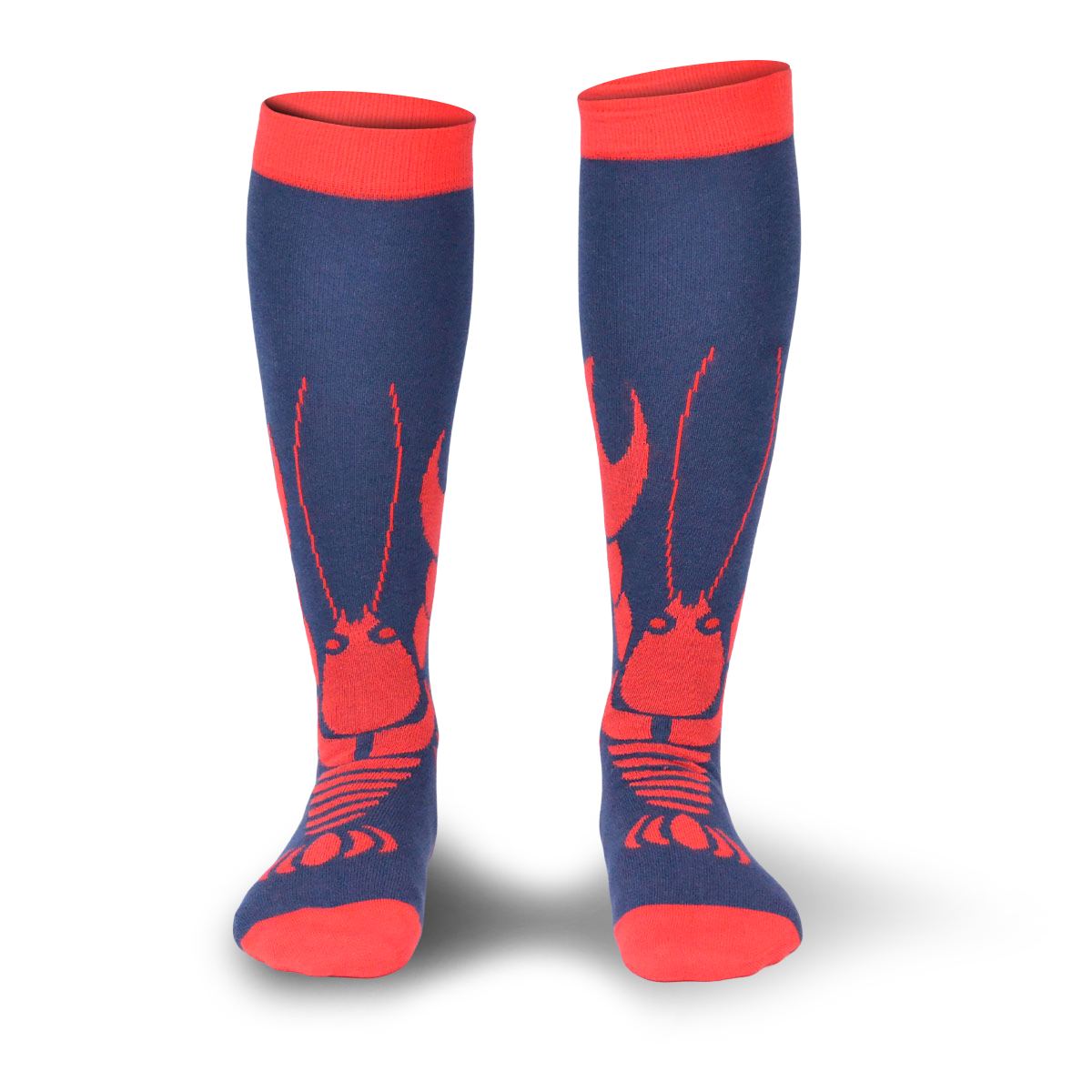 Chaussettes fantaisie PINCEMI PINCEMOI HAUTES Coton bio 1