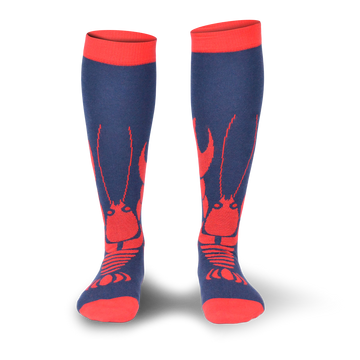 Chaussettes fantaisie PINCEMI PINCEMOI HAUTES Coton bio 1