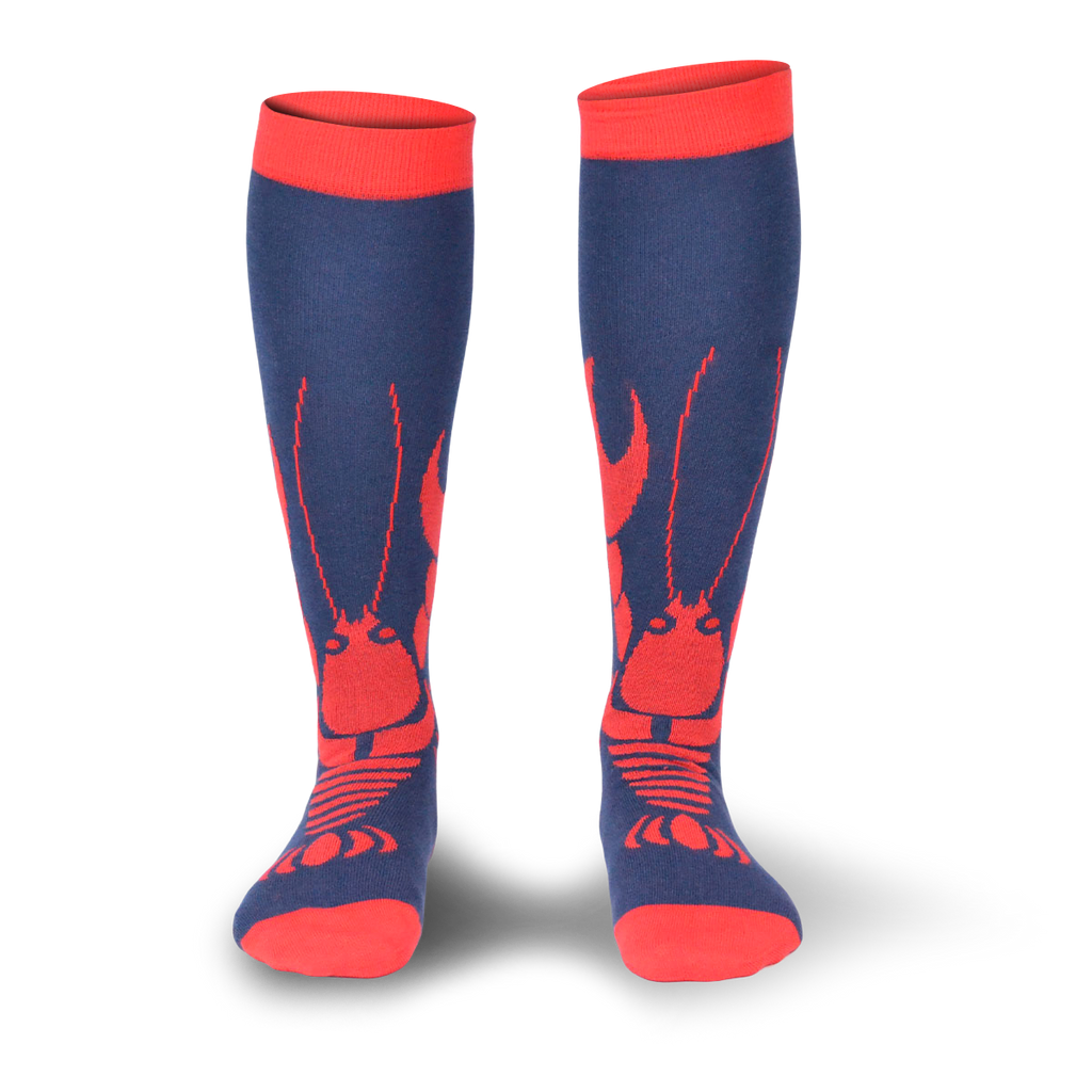 Chaussettes fantaisie PINCEMI PINCEMOI HAUTES Coton bio 1
