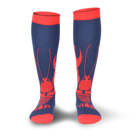 Chaussettes fantaisie PINCEMI PINCEMOI HAUTES Coton bio 1