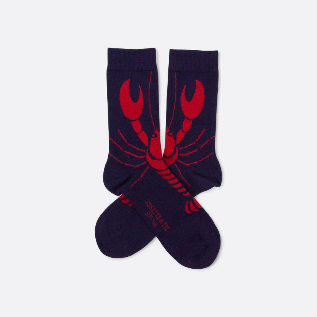 Chaussettes fantaisie PINCEMI PINCETOI Coton bio 1