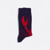 Chaussettes fantaisie PINCEMI PINCETOI Coton bio 5
