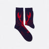 Chaussettes fantaisie PINCEMI PINCETOI Coton bio 3