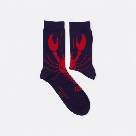 Chaussettes fantaisie PINCEMI PINCETOI Coton bio 3