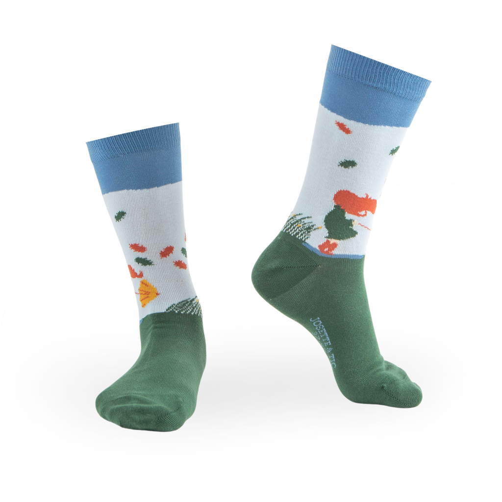 Chaussettes fantaisie PRENDRE L’HAIR Coton bio 1