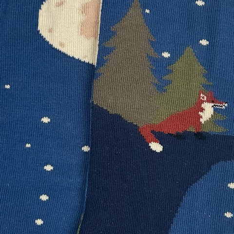 Chaussettes fantaisie PROJET LUNAIRE Coton bio 2