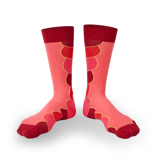 Chaussettes fantaisie PURÉE DE CARDINAL Coton bio 1