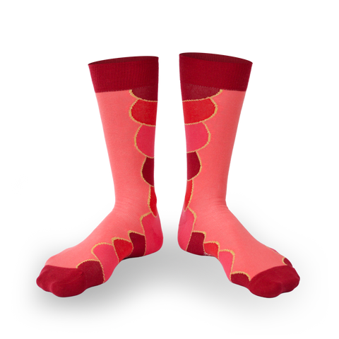 Chaussettes fantaisie PURÉE DE CARDINAL Coton bio 1