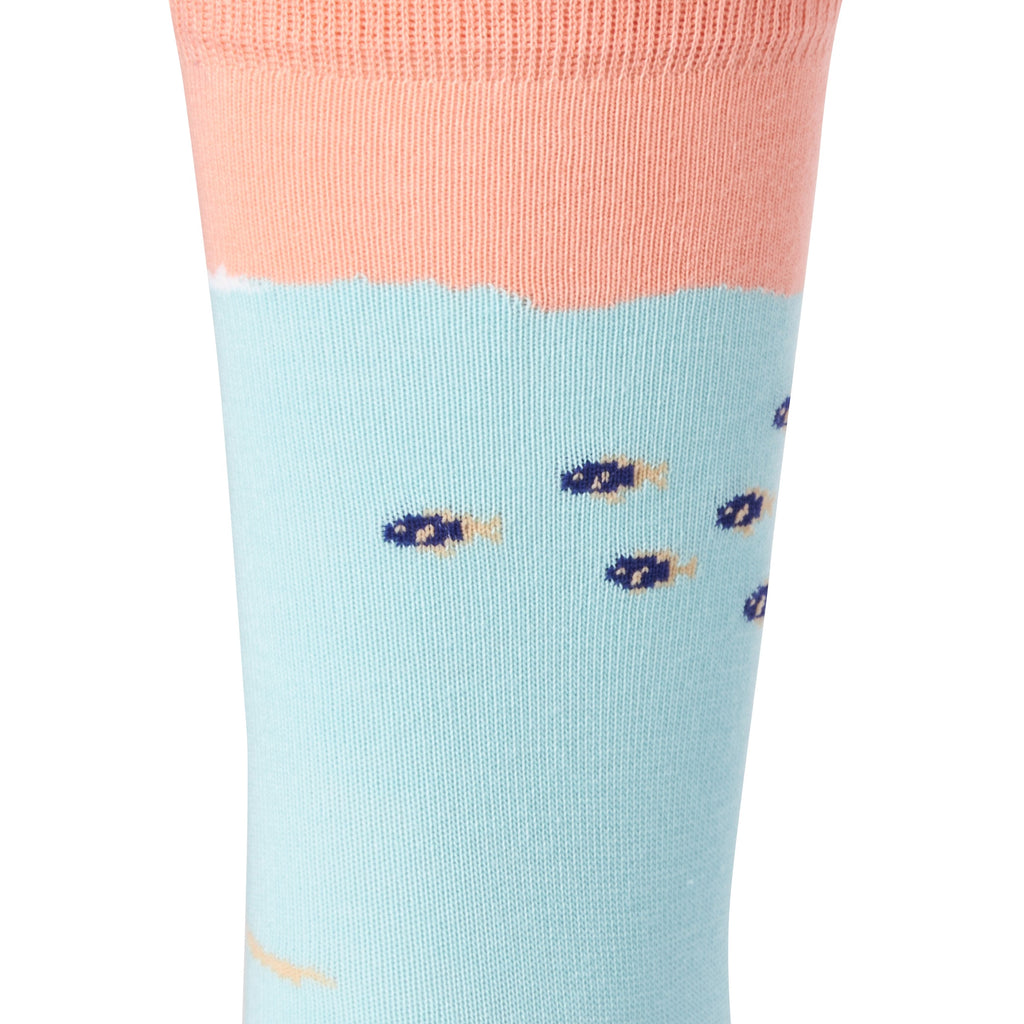 Chaussettes fantaisie RANDONNÉE PALMÉE Coton bio 2