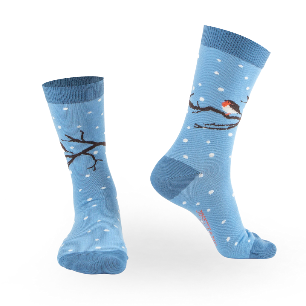 Chaussettes fantaisie SE REMPLUMER Coton bio 1