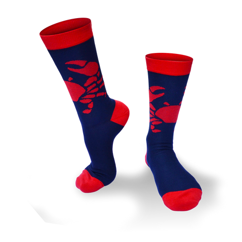 Chaussettes fantaisie SERRE MOI LA PINCE Coton bio 1