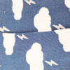 Chaussettes fantaisie TONNERRE DE BREST COURTES Coton bio 3