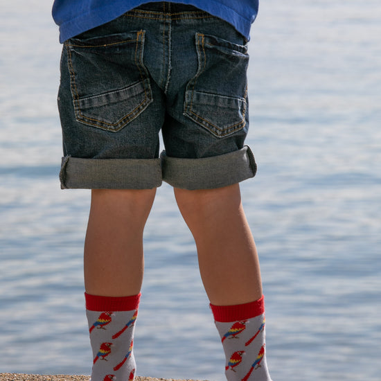 Chaussettes fantaisie TROUVEZ L’INTRUS BAMBINS Coton bio 2