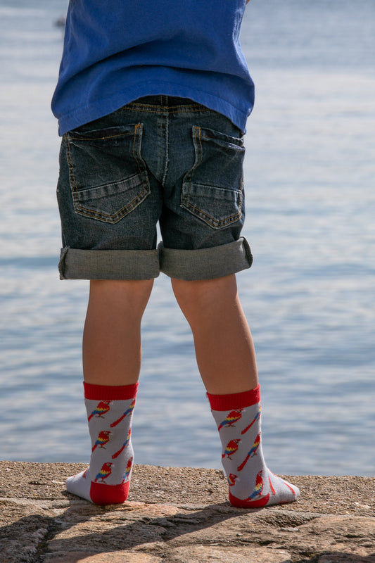 Chaussettes fantaisie TROUVEZ L’INTRUS BAMBINS Coton bio 2
