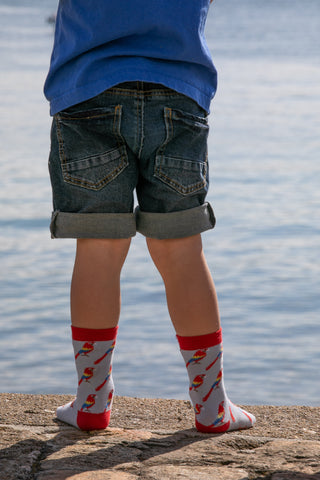 Chaussettes fantaisie TROUVEZ L’INTRUS BAMBINS Coton bio 2