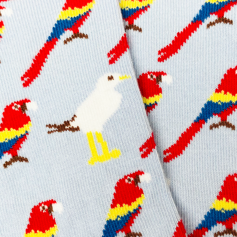 Chaussettes fantaisie TROUVEZ L’INTRUS BAMBINS Coton bio 3