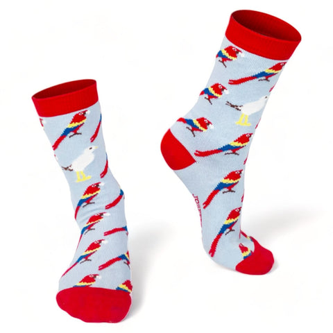 Chaussettes fantaisie TROUVEZ L’INTRUS BAMBINS Coton bio 1