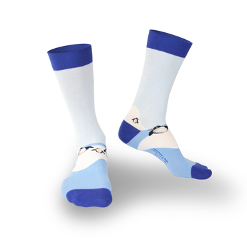 Chaussettes fantaisie UN AIR DE FAMILLE Coton bio 1