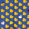 Chaussettes fantaisie VILAINS PETITS CANARDS Coton bio 2