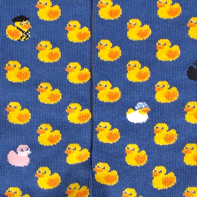 Chaussettes fantaisie VILAINS PETITS CANARDS Coton bio 2