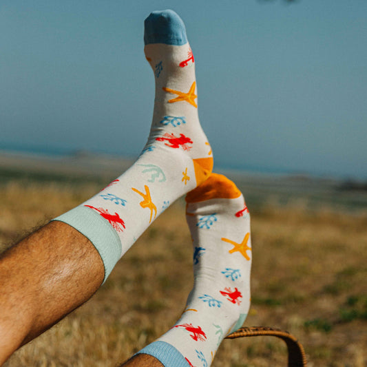 homardinaire portées chaussettes fantaisie coton bio josette & tic
