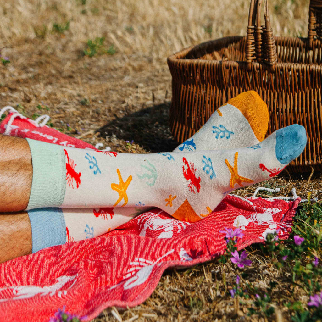 homardinaire portées 2 chaussettes fantaisie coton bio josette & tic