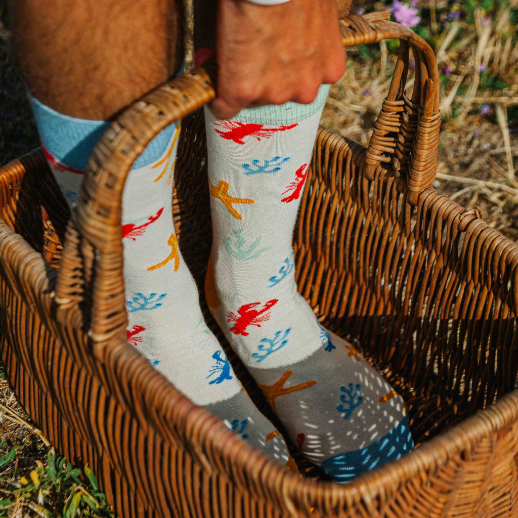 homardinaire panier chaussettes fantaisie coton bio josette & tic
