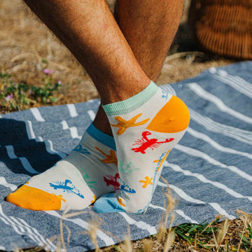 homardinaire courtes portées 2 chaussettes fantaisie coton bio josette & tic