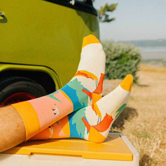 jvois pas la diff portées chaussettes fantaisie coton bio josette & tic