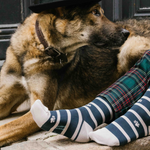 chaussettes fantaisie coton bio josette & tic le chien de basketville 1